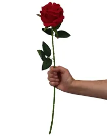 roza-czerwona-welur-55-cm-premium-roza-welurowa-niebarwiaca-nie-farbuje