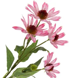 jezowka-rozowa-echinacea-72-cm-duze-kwiaty-o-13-cm-real-touch-rudbekia