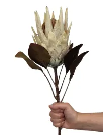 karczoch-protea-sztuczna-kremowa-krolewska-srebrnik-sztuczny-galazka-70-cm