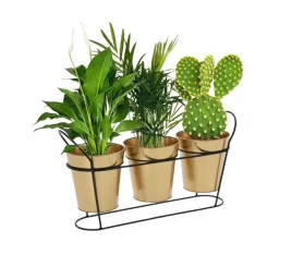 kwietnik-na-3-rosliny-44x23-cm-trzy-zlote-doniczki