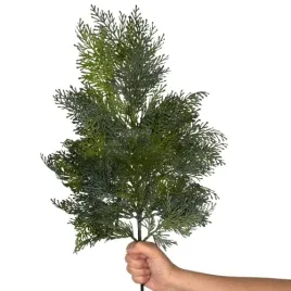 galazka-tuja-gesta-xxl-67-cm-galazki-thuja-srebrzysta-galazka-iglak