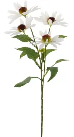 jezowka-biala-echinacea-aster-duze-kwiaty-o-13-cm-real-touch-rudbekia-72-cm
