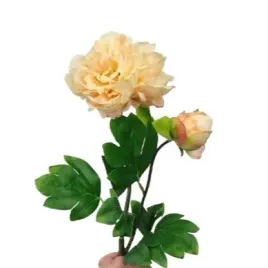 piwonia-peonia-herbaciana-realistyczna-60-cm-premium-jak-zywa