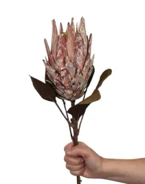 karczoch-protea-sztuczna-bordowa-krolewska-srebrnik-sztuczny-galazka-70-cm