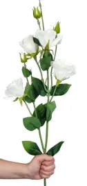 eustoma-biala-sztuczna-premium-galazka-82-cm-biale-kwiaty
