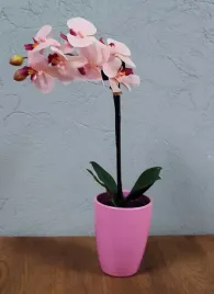 storczyk-42-cm-rozowy-sztuczny-w-doniczce-ceramicznej-seria-premium