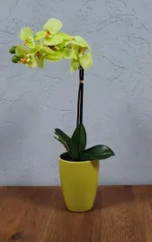 storczyk-42-cm-zielony-sztuczny-w-doniczce-ceramicznej-seria-premium