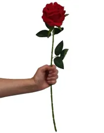 roza-czerwona-welur-55-cm-premium-roza-welurowa-niebarwiaca-nie-farbuje