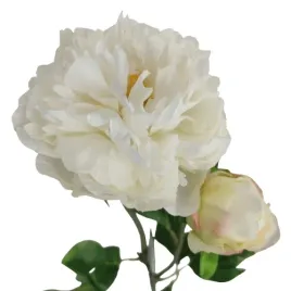 piwonia-peonia-biala-60-cm-realistyczna-galazka-z-liscmi-premium-jak-zywa