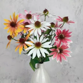 bukiet-jezowka-wielokolorowa-gesty-4-galazki-echinacea-rudbekia-72-cm