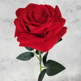 roza-czerwona-bardzo-duza-welurowa-h-75-cm-kwiat-13-cm-gesty-wieloplatkowy