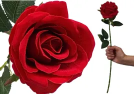 roza-czerwona-welur-nie-farbuja-premium-50-cm-roze-welurowe-nie-barwi