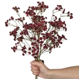 gipsowka-sztuczna-bordowa-silikonowa-bukiet-60-cm-6-x-sztuczna-gipsowka