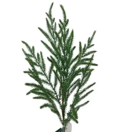 galazka-sosna-sosna-norfolk-z-silikonu-jak-zywa-h-60-cm-galazka-swierku