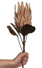 protea-sztuczna-krolewska-srebrnik-karczoch-sztuczny-galazka-70-cm