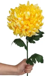 chryzantema-zolta-sztuczna-galazka-80-cm-premium-jak-zywa-gesta