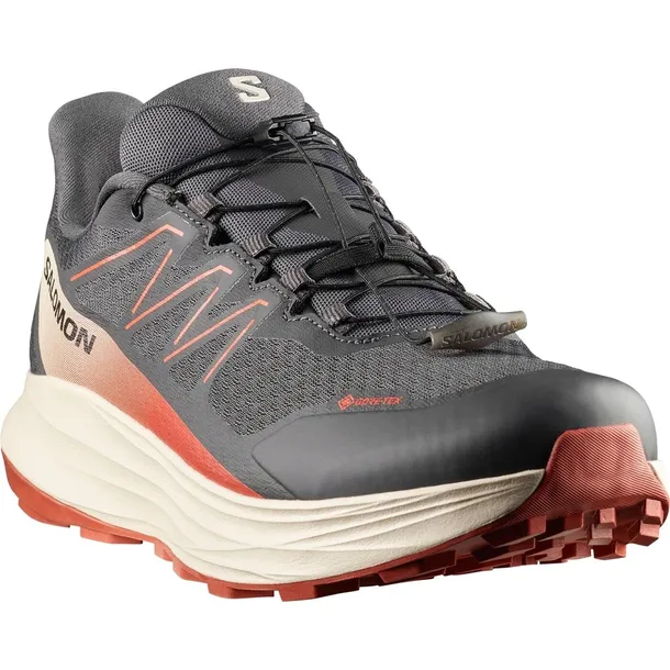 alpharide-2-gtx-kod-producenta-l49181600000-marka-salomon