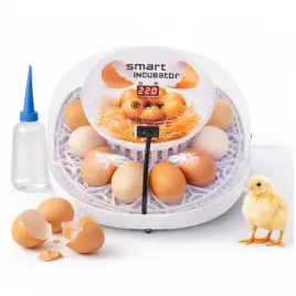 inkubator-12-jaj-drobiu-klujnik-wylegarka