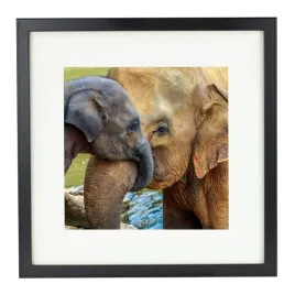 ramka-na-zdjecie-kwadratowa-28x28-cm-klasyczna-cza