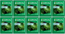 chusteczki-nablyszczajace-do-lisci-roslin-ozdobnych-czysci-kurz-biopon-10sz