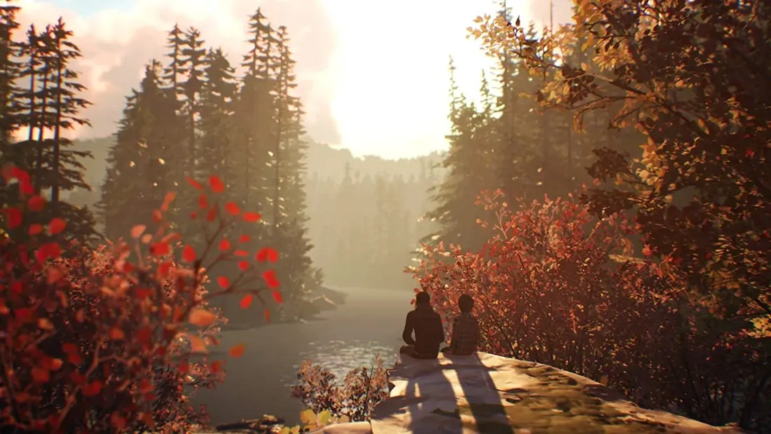 life-is-strange-2-ps4-stan-nowy