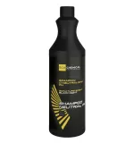 szampon-samochodowy-o-neutralnym-ph-ecochemical-1000ml