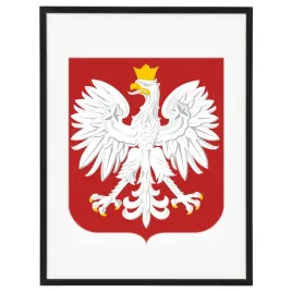 godlo-polski-w-czarnej-ramie-30x40-cm