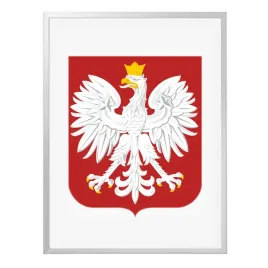 urzedowe-godlo-polski-w-ramie-aluminiowej-30x40-cm