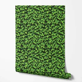 tapeta-na-sciane-zielone-liscie-do-kuchni-jadalni