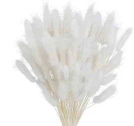 dmuszek-jajowaty-suszony-lagurus-naturalny-bialy-suszone-kwiaty-trawy-boho