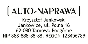 pieczatka-nomo-3-full-size-rodzaj-elementu-stemplujacego-pieczatka-flashowa