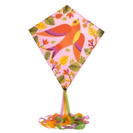 djeco-latawiec-dla-dzieci-z-kolorowym-ptakiem-klasyczny-z-dlugie-fredzle
