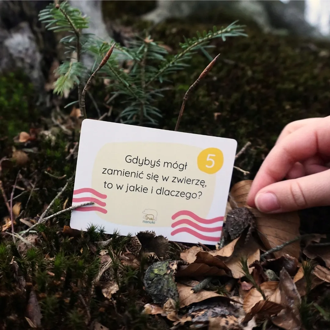 karty-w-trasie-nanuki