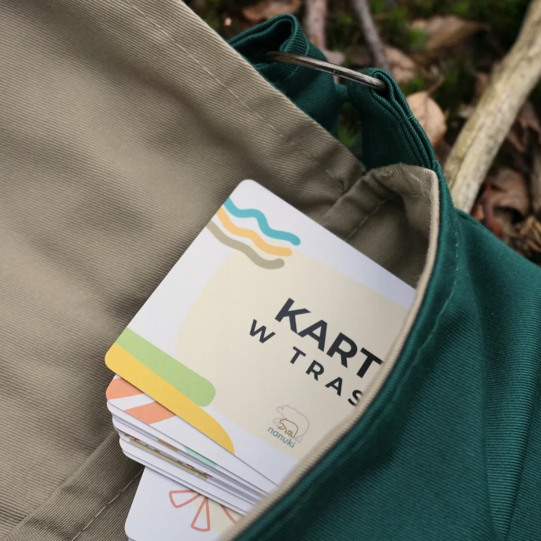 karty-w-trasie-nanuki-stan-nowy