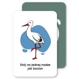 karty-ruchowe-nanuki