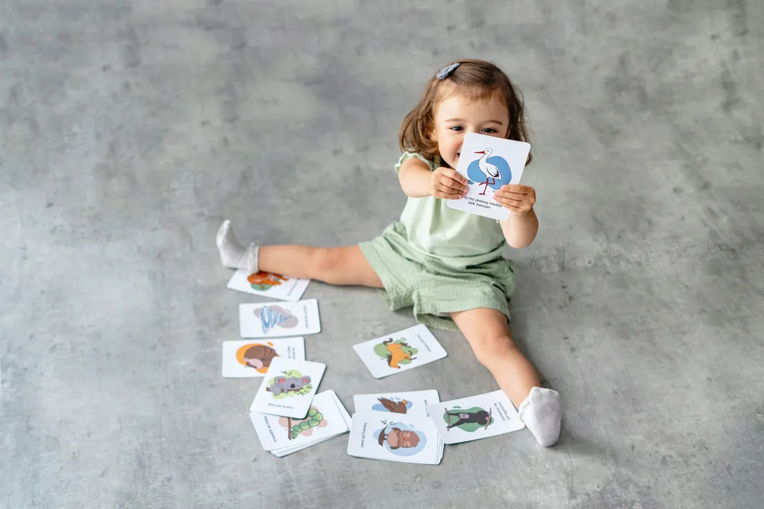 karty-ruchowe-nanuki-stan-nowy