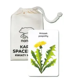 karty-spacerowe-kwiaty-na-lace-nanuki