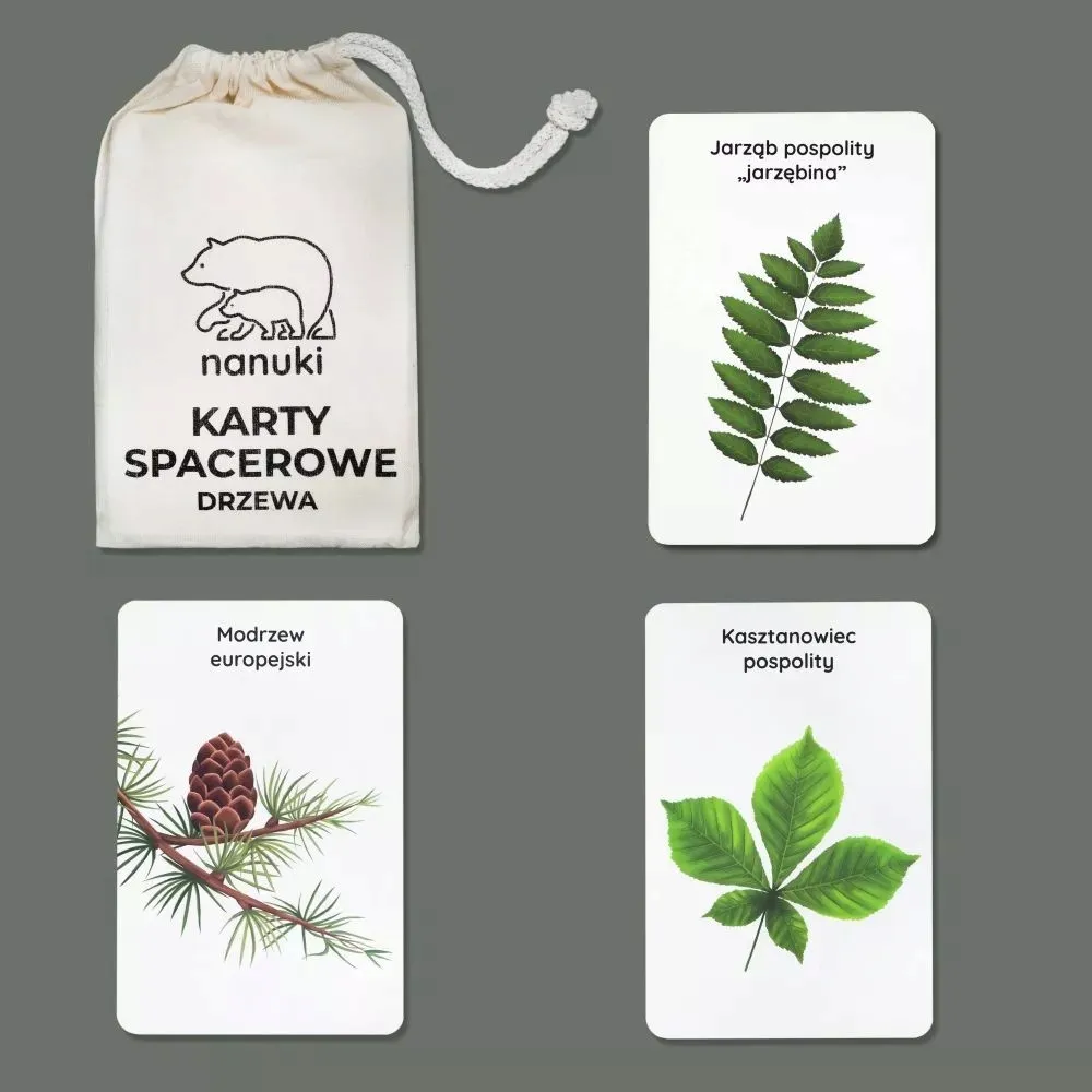 karty-spacerowe-drzewa-nanuki-nazwa-karty-spacerowe-drzewa-nanuki