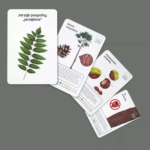 karty-spacerowe-drzewa-nanuki-kod-producenta-24870