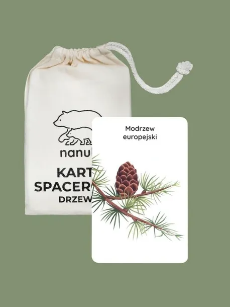 karty-spacerowe-drzewa-nanuki-nazwa-karty-spacerowe-drzewa-nanuki-material-papier