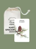 karty-spacerowe-drzewa-nanuki-nazwa-karty-spacerowe-drzewa-nanuki-material-papier