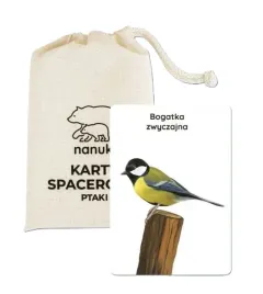 karty-spacerowe-ptaki-nanuki