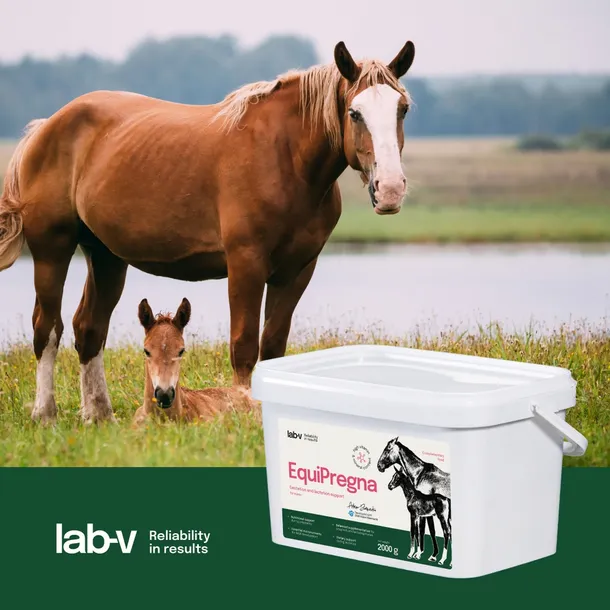 lab-v-equipregna-2-kg-kod-producenta-215