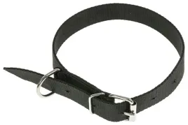 obroza-dla-psa-tasma-65cm-25cm