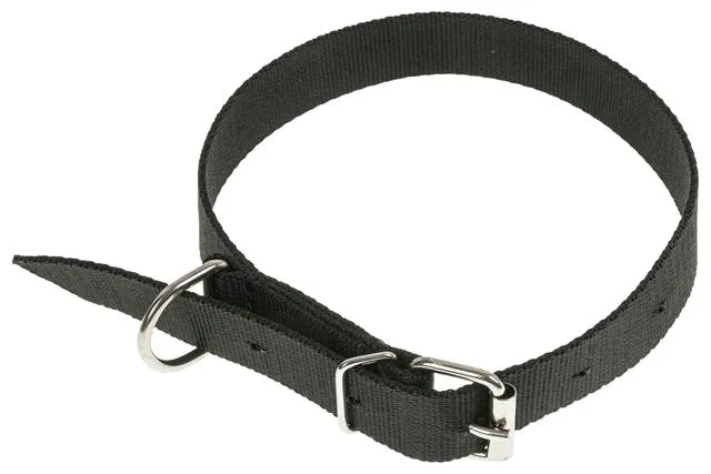 obroza-dla-psa-tasma-65cm-25cm-stan-nowy