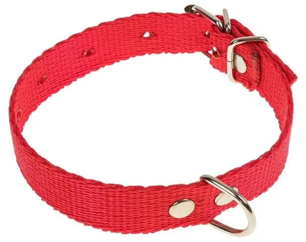 obroza-dla-psa-tasma-32cm-16cm-stan-nowy