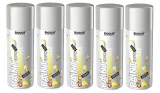 farba-spray-chrome-srebrna-biodur-400ml