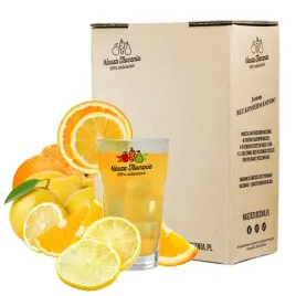 lemoniada-premium-sklad-pomarancza-and-cytryna-horeca-5l