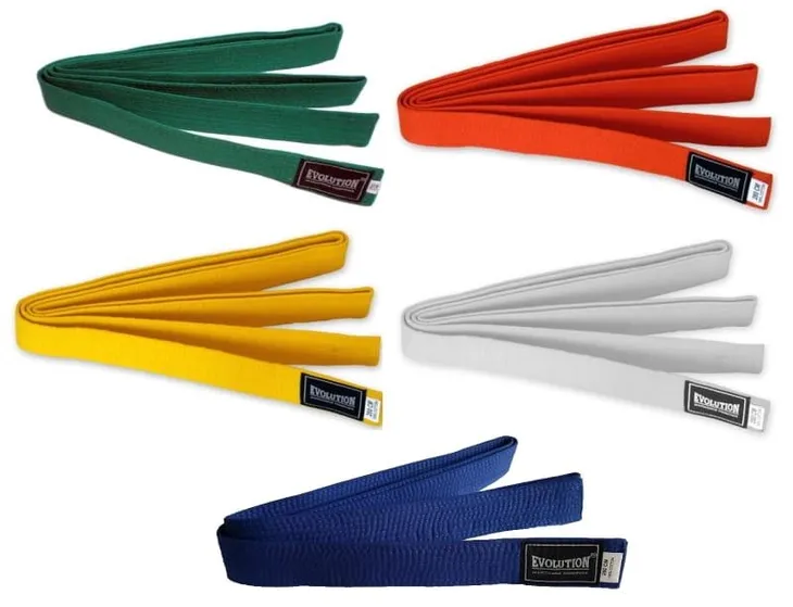 pas-do-kimona-evolution-karate-judo-aikido-260-cm-plec-nie-dotyczy