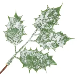 galazka-ostrokrzew-szron-17cm-1szt